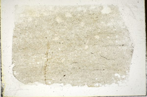 Plane Polarized, S85249