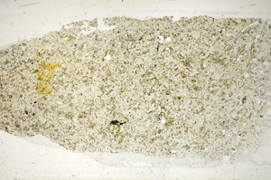 Plane Polarized, S85248