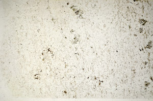 Plane Polarized, S85251
