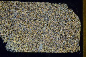 Cross Polarized, S85252