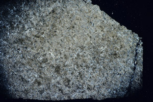 Cross Polarized, S85254
