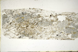 Plane Polarized, S85255