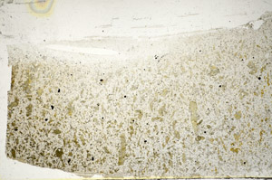 Plane Polarized, S85256