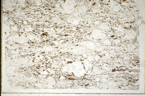 Plane Polarized, S85258