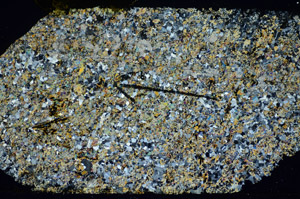 Cross Polarized, S85259