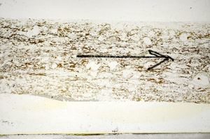 Plane Polarized, S85262