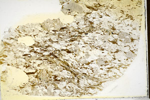 Plane Polarized, S85289