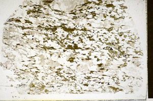 Plane Polarized, S85294