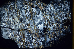 Cross Polarized, S85295