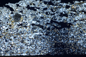 Cross Polarized, S85296
