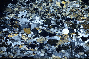 Cross Polarized, S85299