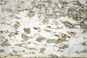 Plane Polarized, S85299