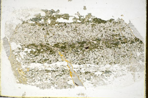 Plane Polarized, S85302