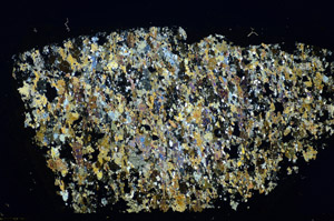 Cross Polarized, S85303