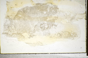 Plane Polarized, S85306