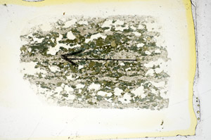 Plane Polarized, S85310