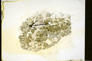 Plane Polarized, S85319