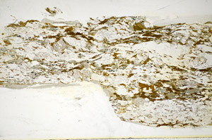 Plane Polarized, S85320
