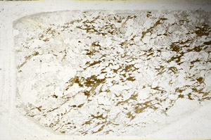Plane Polarized, S85326