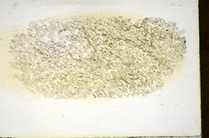 Plane Polarized, S85328