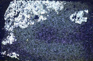 Cross Polarized, S85329