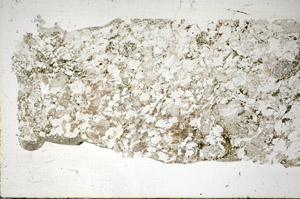 Plane Polarized, S85332