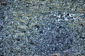 Cross Polarized, S85338