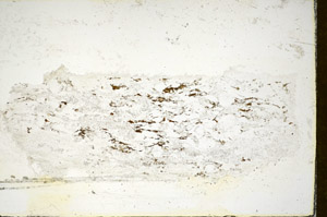 Plane Polarized, S85345