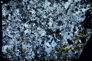 Cross Polarized, S85352