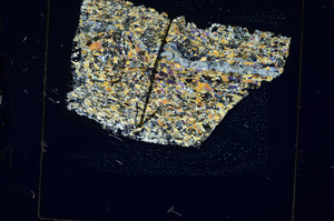 Cross Polarized, S85358