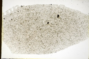 Plane Polarized, S85363