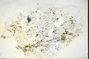 Plane Polarized, S85366