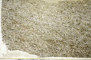 Plane Polarized, S85368
