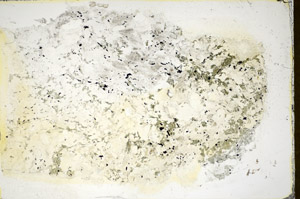Plane Polarized, S85372