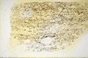 Plane Polarized, S85376