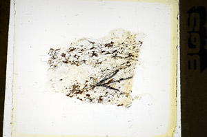 Plane Polarized, S85379
