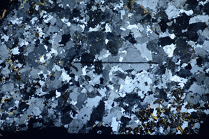 Cross Polarized, S85381