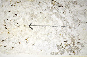 Plane Polarized, S85381