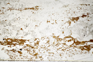Plane Polarized, S85385