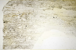 Plane Polarized, S85389