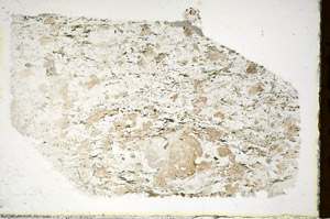 Plane Polarized, S85391