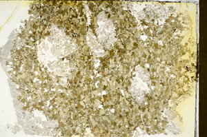 Plane Polarized, S85396
