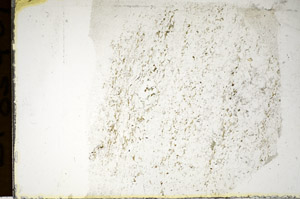 Plane Polarized, S85409