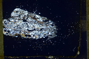 Cross Polarized, S85412