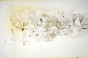 Plane Polarized, S85417