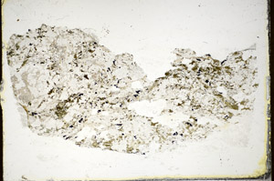 Plane Polarized, S85429