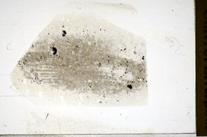 Plane Polarized, S85433