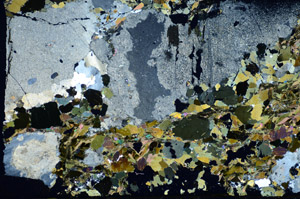 Cross Polarized, S85435