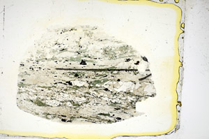 Plane Polarized, S85438