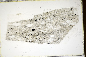 Plane Polarized, S85439